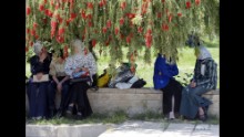 The University of Mosul is the second-largest in Iraq and boasted a rich tradition of learning. ISIS militants destroyed thousands of books and manuscripts housed at the university and developed a new curriculum.