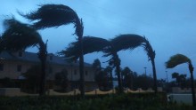 Palm trees on Cocoa Beach sway in the wind on October 7.