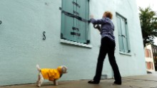 Barbara Hearst tapes her storm shutters as Hurricane Matthew nears Charleston, South Carolina, on October 7. 
