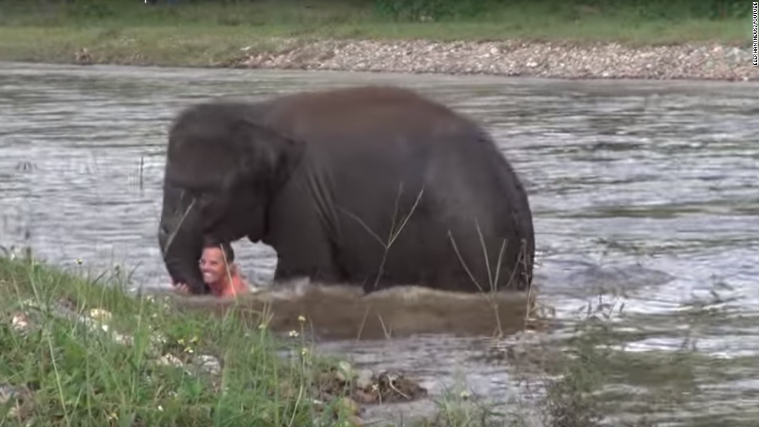 Baby elephant tries to save 'drowning' friend