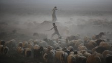 Civilians herd sheep from a village near Mosul on October 18. The smoke came from oil wells ISIS set on fire to limit the visibility of coalition pilots.