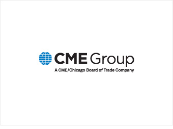 Cme Group Logo 48
