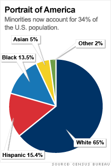 Pie Chart Of Races In America