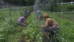 Newton farm grows veggies - and community