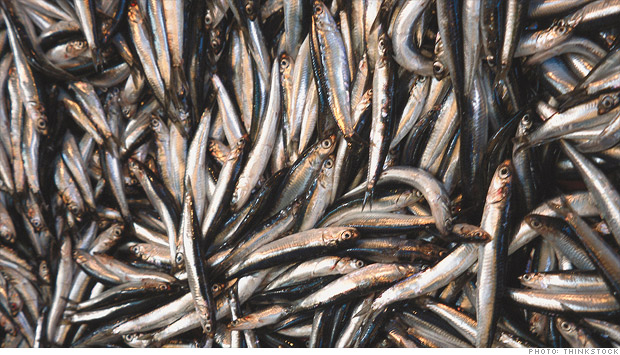 pile of fish