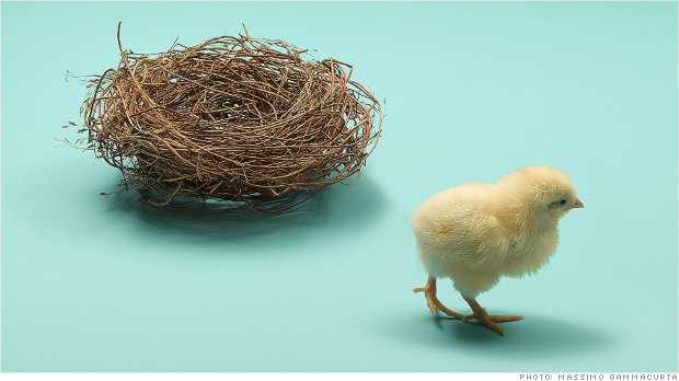 Empty nest