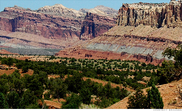gallery best places to drive hogs back utah