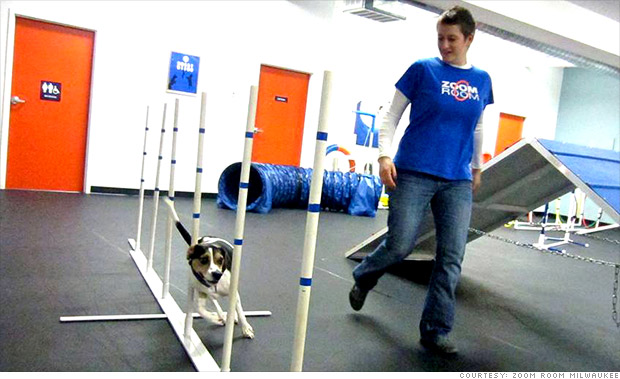 gallery black friday underdogs zoom room