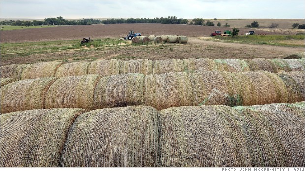 independent farms