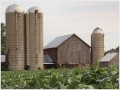 Strange bedfellows are opposing the Farm Bill