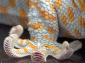 5 science breakthroughs in 2012
