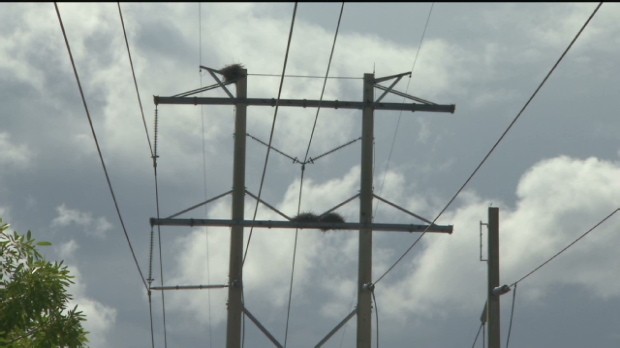 Protecting the power grid from hackers