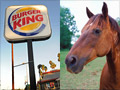 Burger King finds horse meat at European supplier