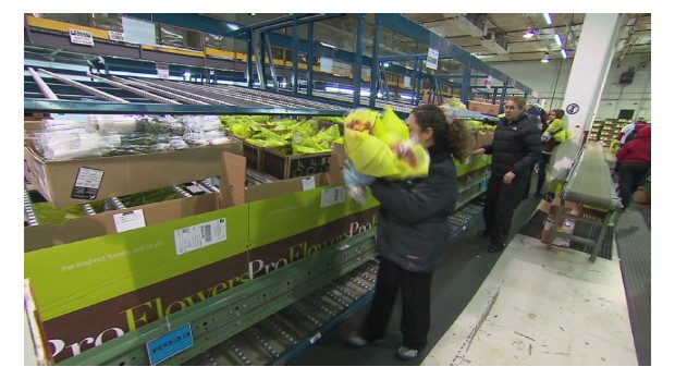Valentine's delivery: 14 million roses