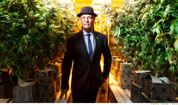 POT08 steve deangelo grow house