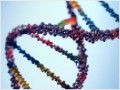 Will insurance cover genetic testing, preventive surgery?