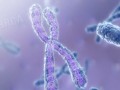 Does patenting genes obstruct research?