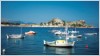 From cruises to airfare