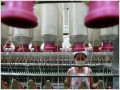 China factory activity contracts in May