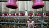 China factory activity falls 