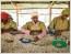 Rwanda's new coffee buzz