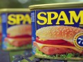 SPAM gets slammed
