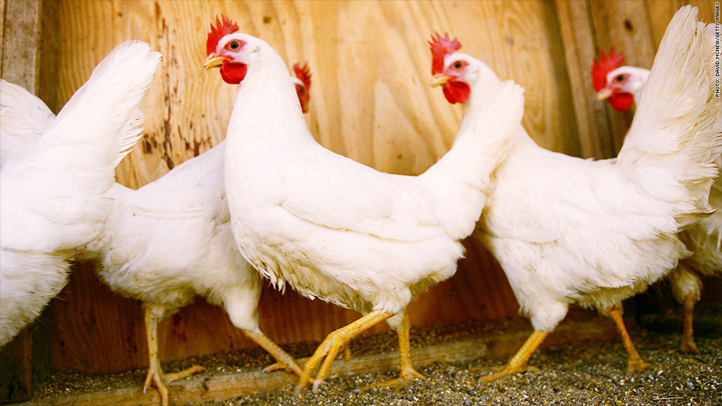 Us Approves Chinese Chicken Exports To Americasort Of Nov 7 2014 