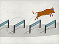 2015: The year the stock market slows
