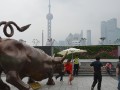China bulls optimistic as market surges
