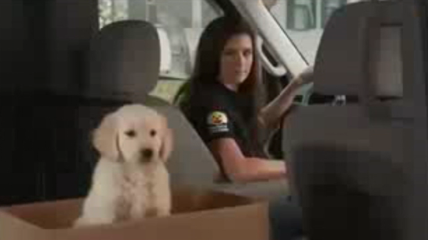 GoDaddy puppy commercial pulled from Super Bowl - Jan. 28, 2015