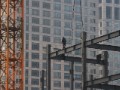 China poised to report worst growth since 2009