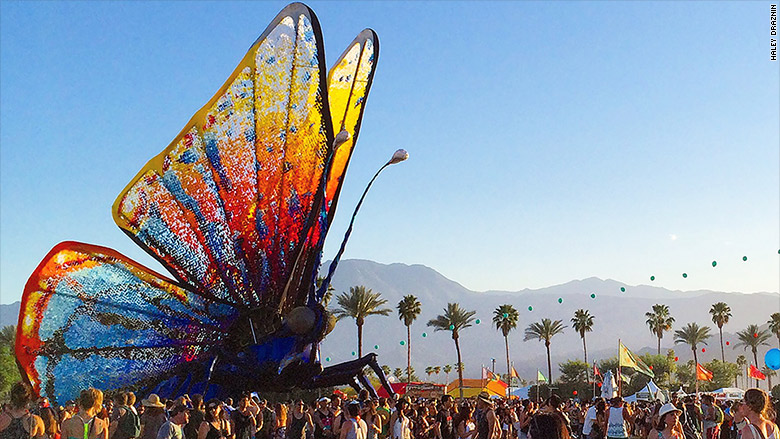 Coachella Butterfly