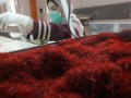Iran's 'red gold' traders thrive in isolation