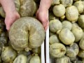 Watch out USA -- haggis could be on its way