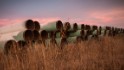 Keystone XL pipeline would only create 35 permanent jobs