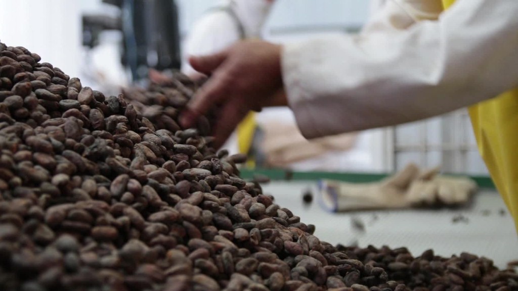 Building an organic chocolate business in Ecuador