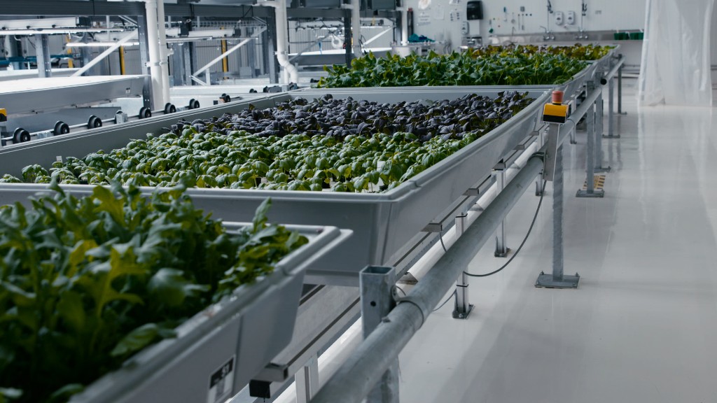 This high-tech farm grows veggies in a warehouse