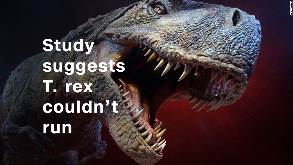 Artificial intelligence finds T. rex couldn't run