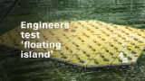 Dutch engineers test 'floating island'