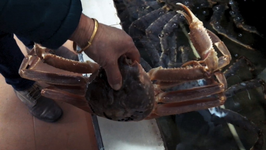 North Korean crabs sold in China despite ban