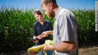 corn soybean ai 2