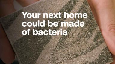 Your next home could be made of bacteria