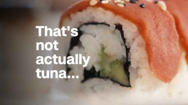 Tuna made from veggies?