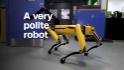 Dexterous robot could be your next doorman