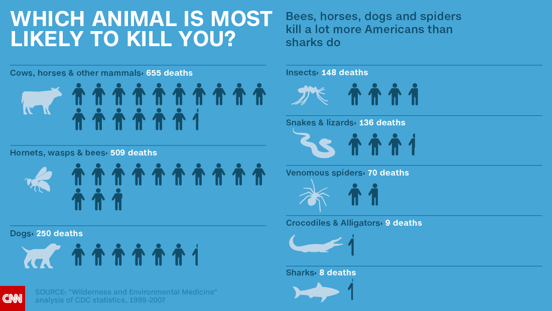 Статистика нападения акул. Карта нападения акул. Статистика нападения на людей. Статистика опасных животных.