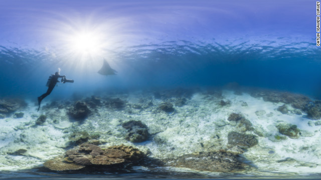 A Catlin Seaview team member films a manta ray near Lady Elliot Island and the Great Barrier Reef.