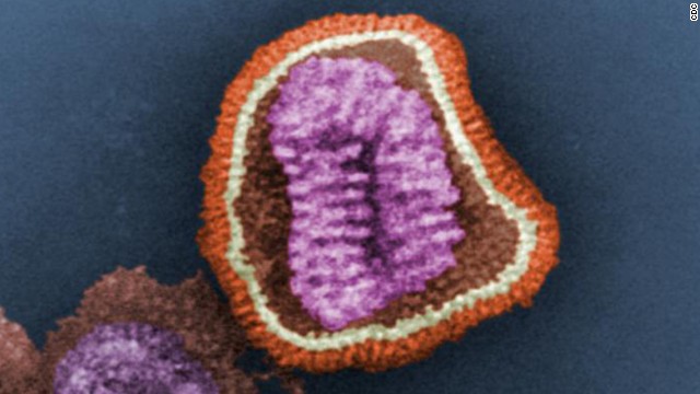 Photos: Flu under the microscope