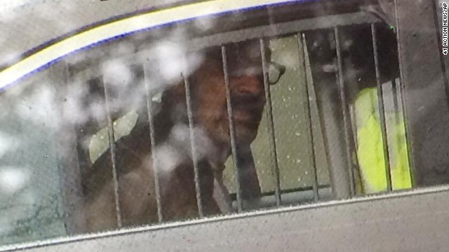 Frazier Glenn Cross, a 73-year-old Missouri man with a long history of spouting anti-Semitic rhetoric, is seen in a police car Sunday, April 13. He is suspected of fatally shooting three people: a boy and his grandfather outside a Jewish community center in Overland Park, Kansas, and a woman at a nearby assisted-living facility.