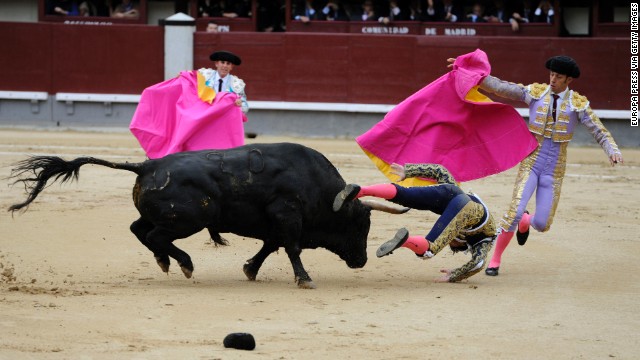 Bulls take down bullfighters but still lose in Spain - CNN.com