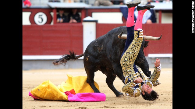 Bulls take down bullfighters but still lose in Spain - CNN.com